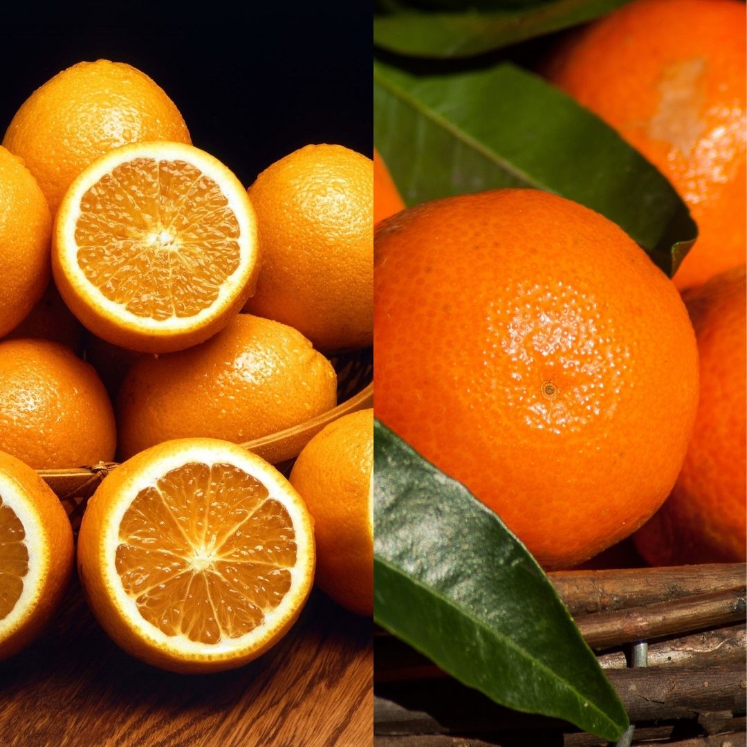 Portakal ve Mandalina: Doğanın Renkli Hediyesi